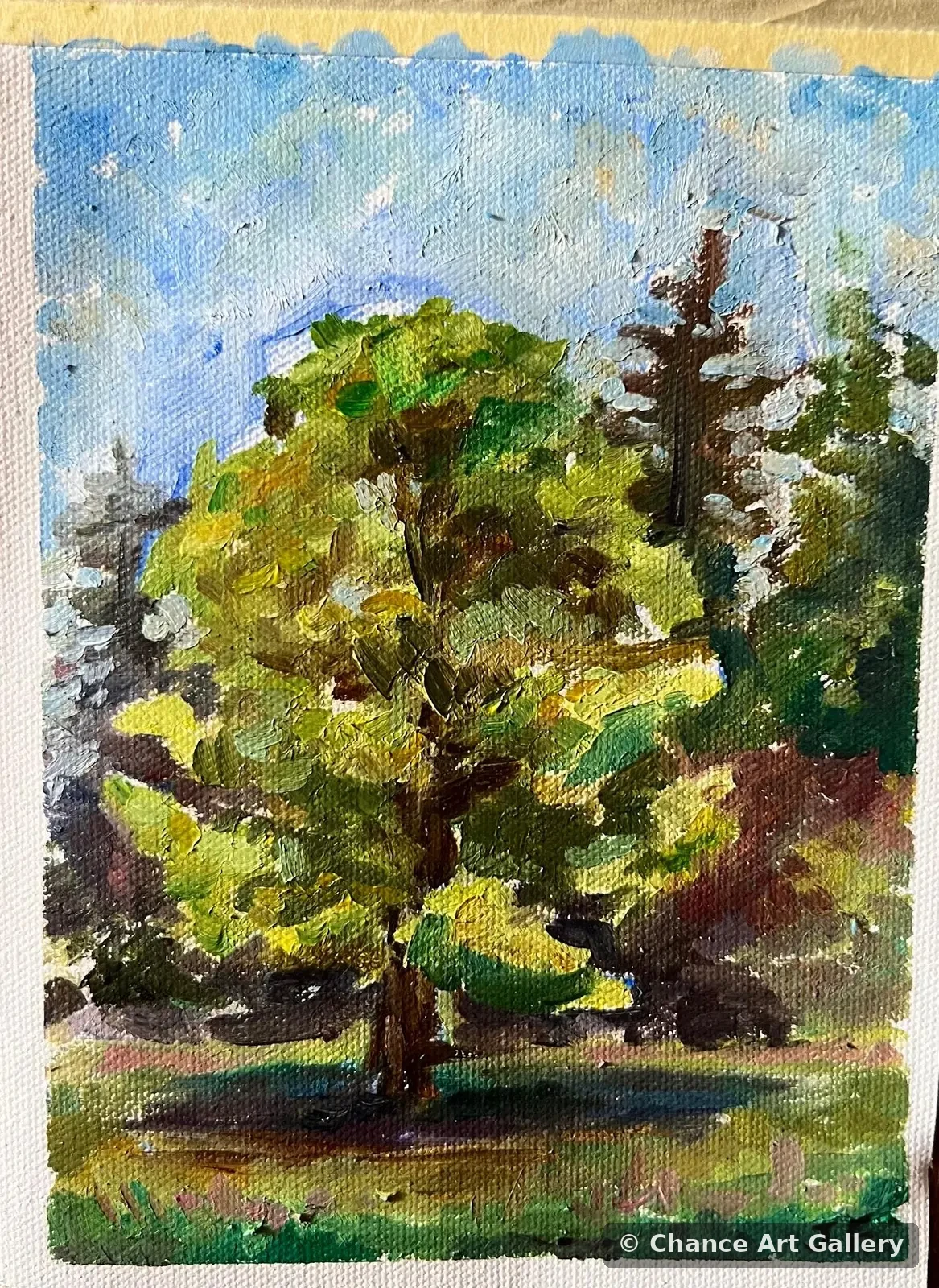 Small Study III