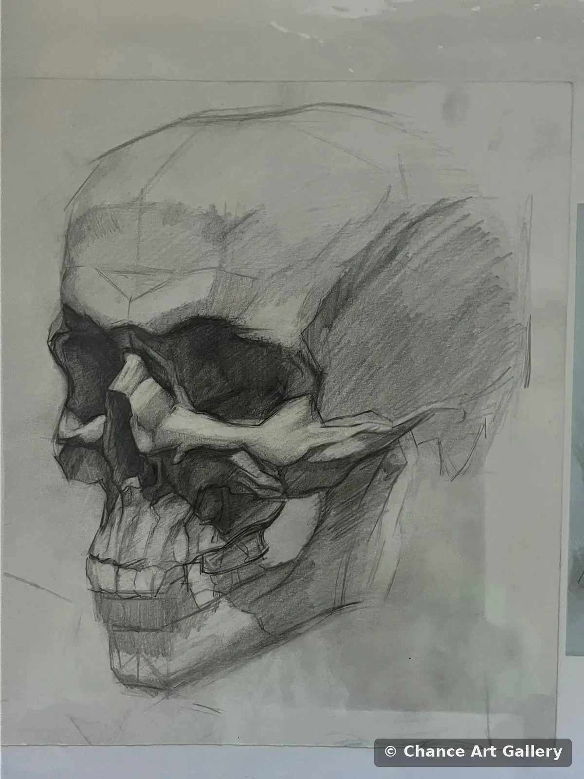 Unfinished Skull, 2022