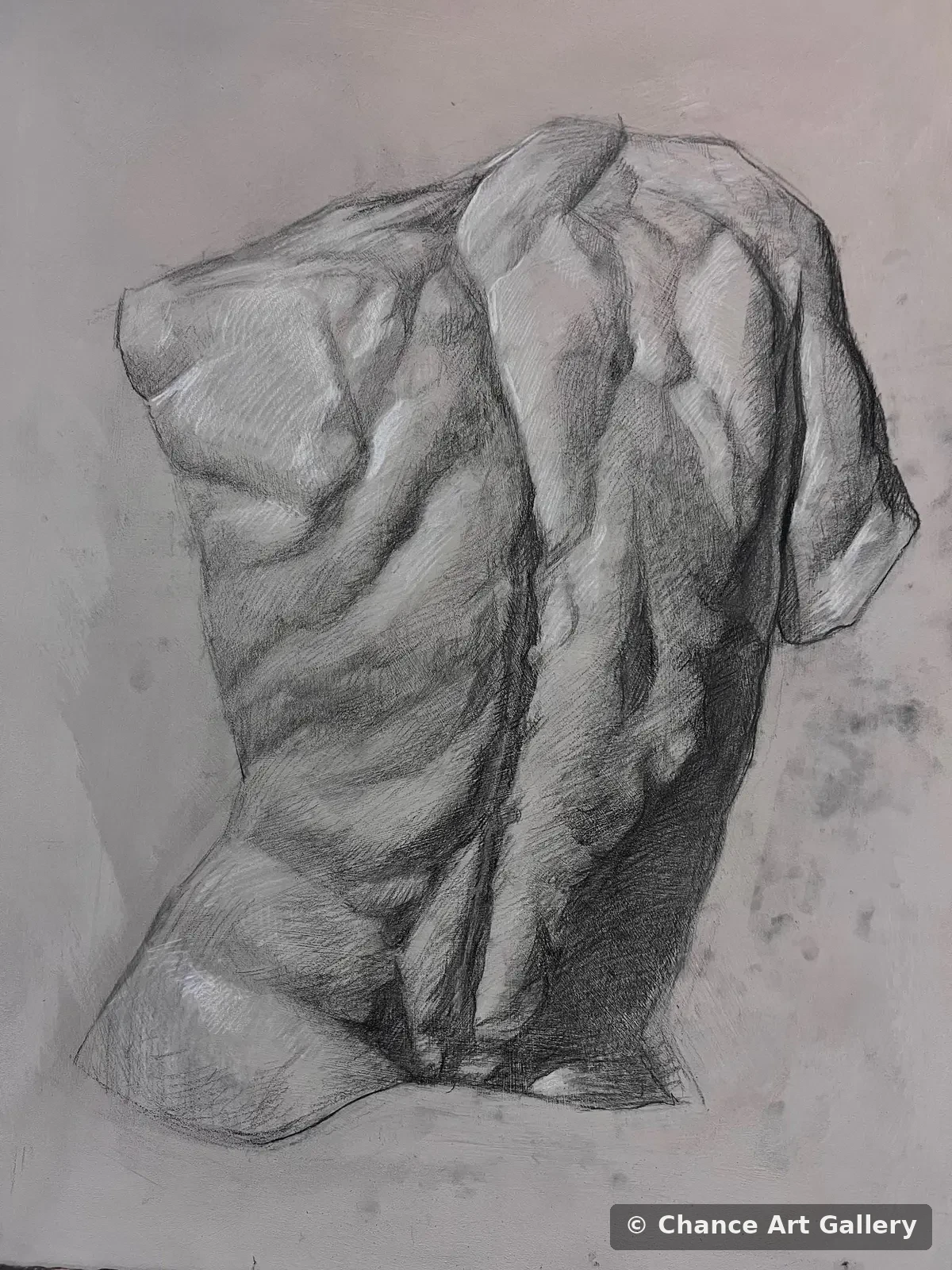 Study of the Back