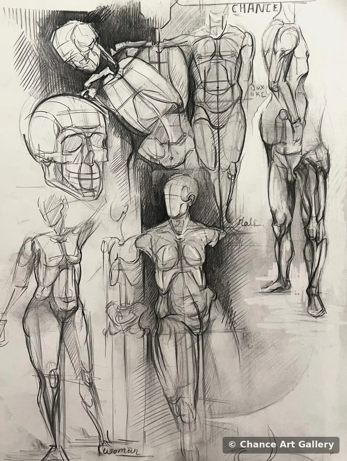 Figure Study II, 2025