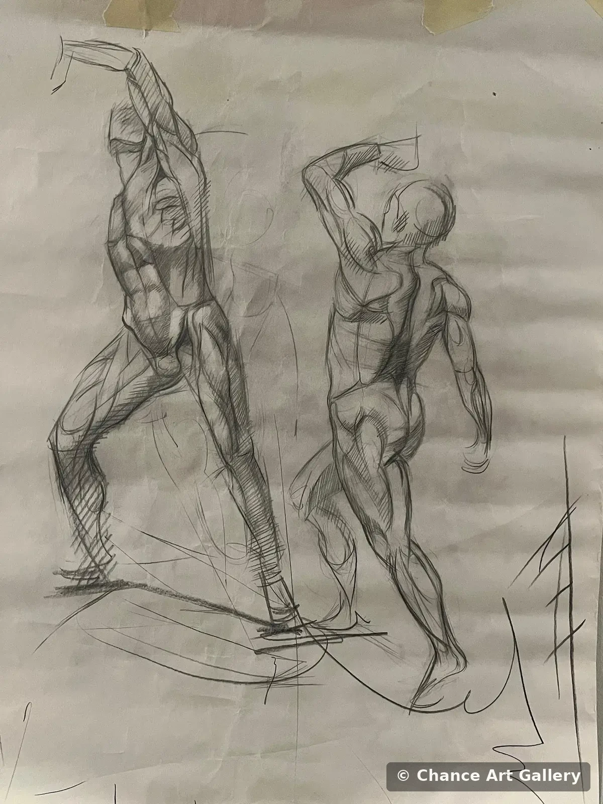 Study Drawing, 2026